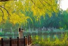 91麻豆闺蜜双飞-探索友情的新境界——91麻豆闺蜜双飞的深刻意义