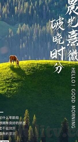 麻豆传媒映画网址-麻豆传媒带来的影像盛宴，光影之下的理解与赏析